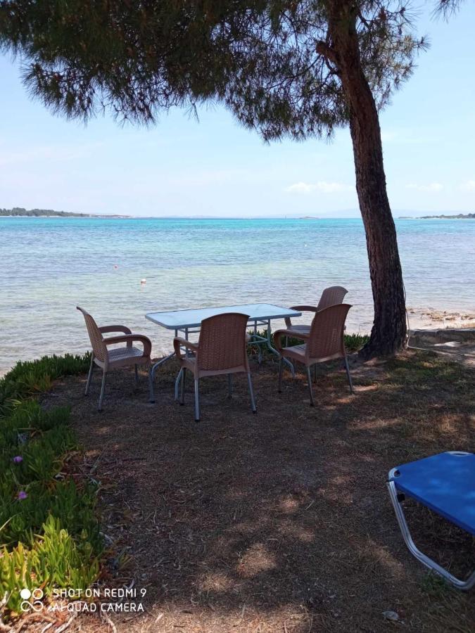 Studios Efi Beach Vourvourou Exterior photo